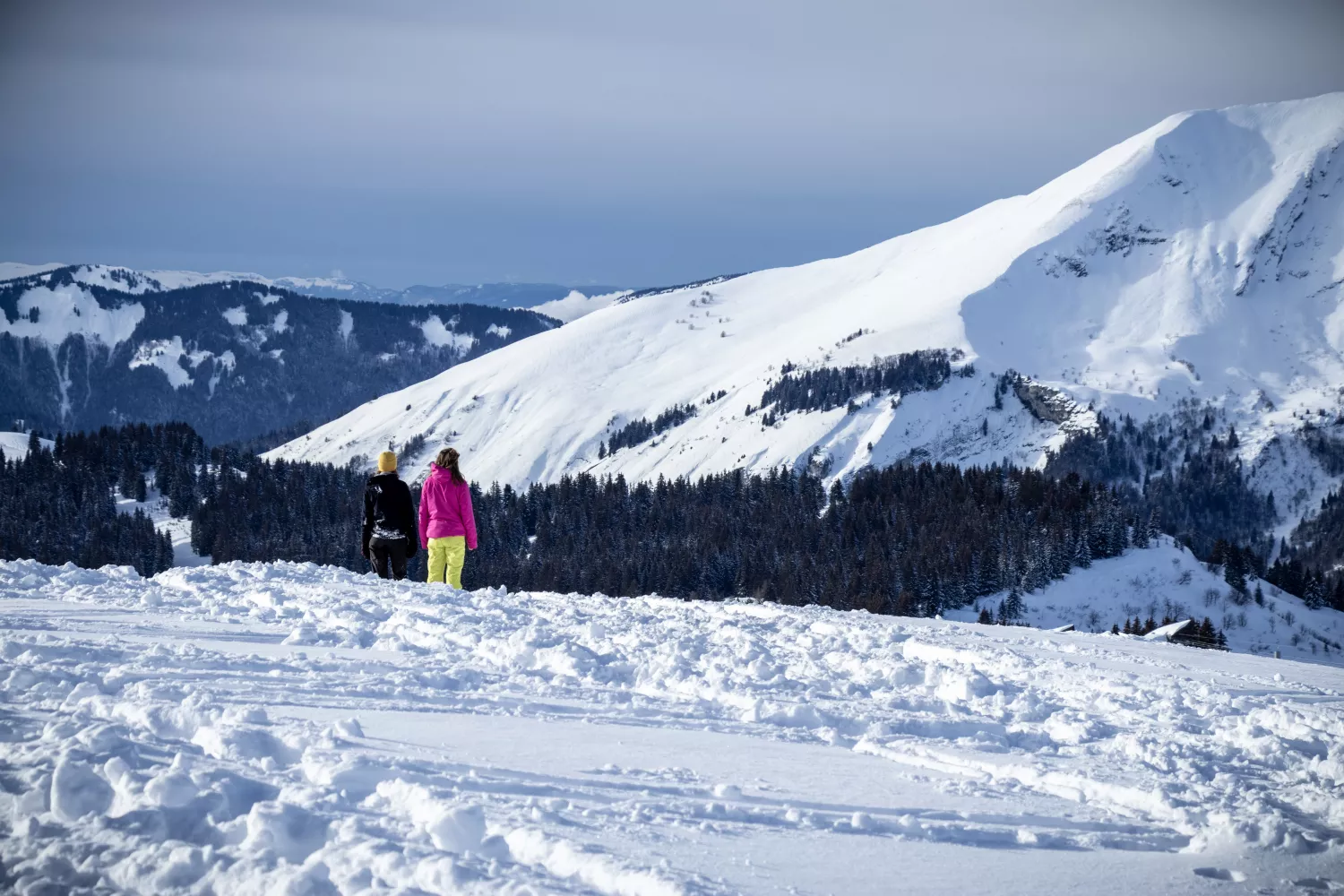 Preview of/gallery/13.webp