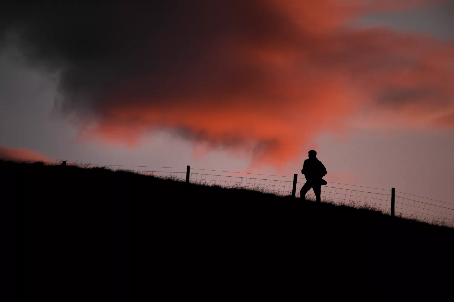 Preview of/gallery/19.webp