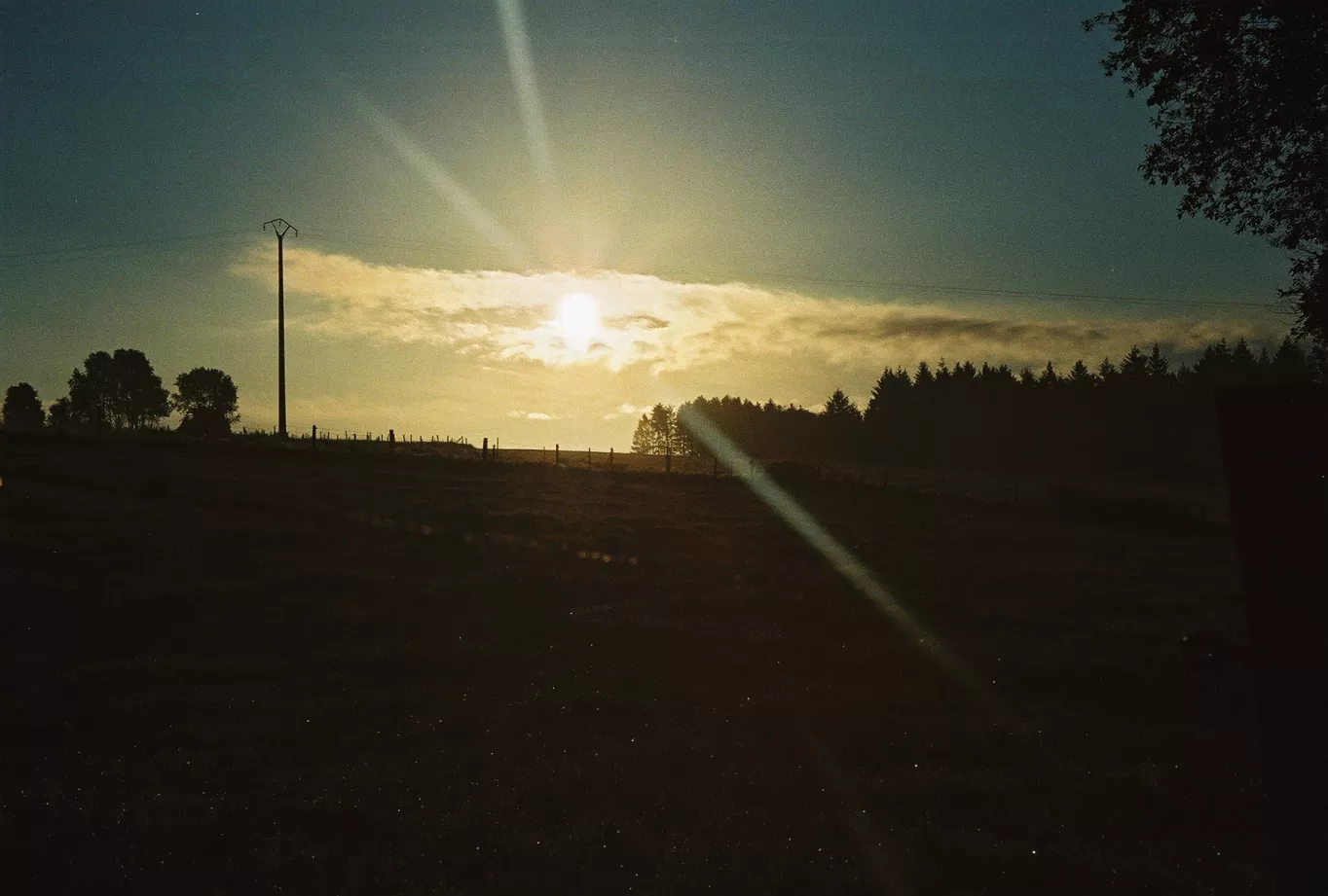 Preview of/gallery/2.webp