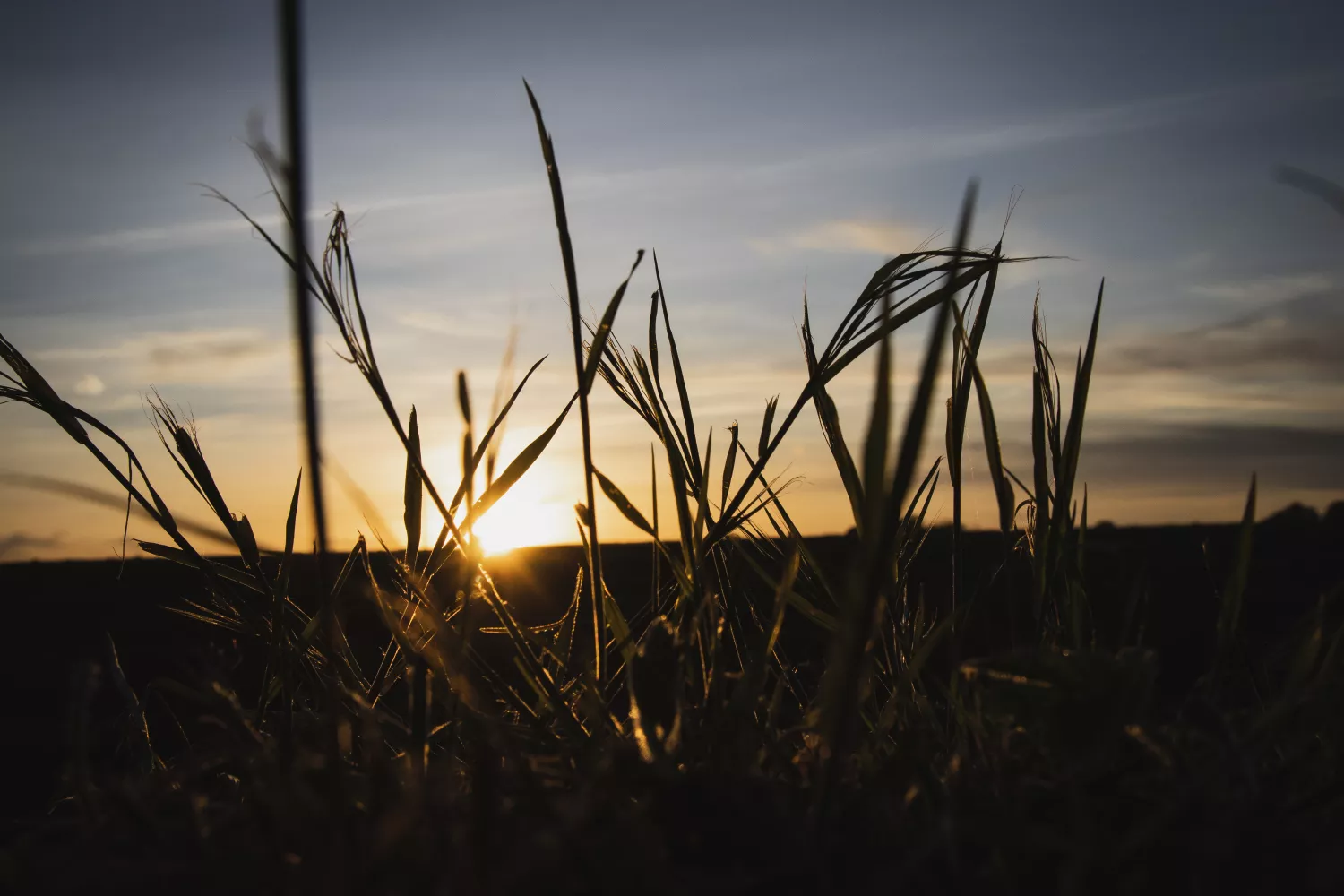 Preview of/gallery/20.webp