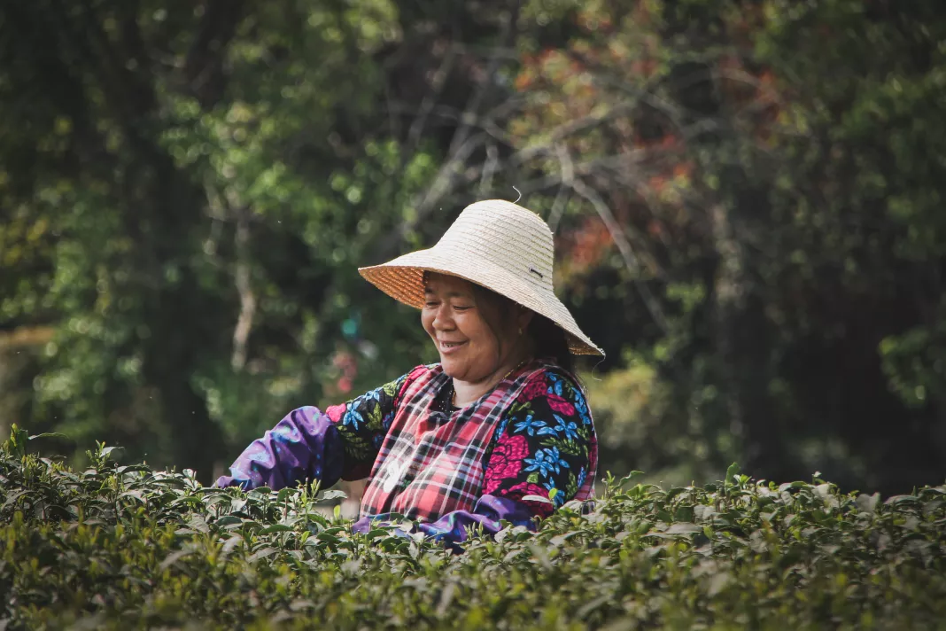 Preview of/gallery/27.webp