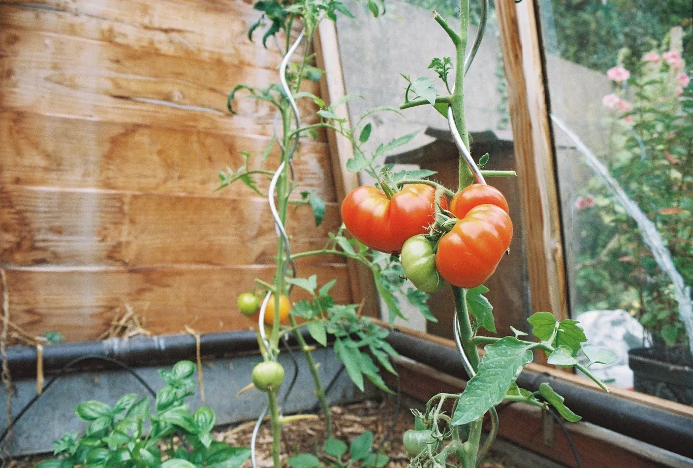 Preview of/gallery/4.webp