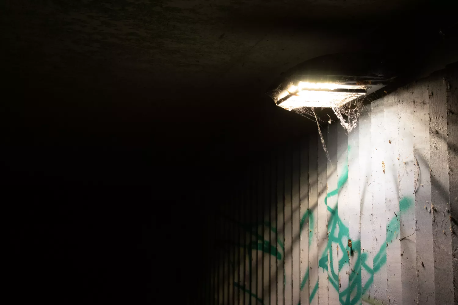 Preview of/gallery/9.webp