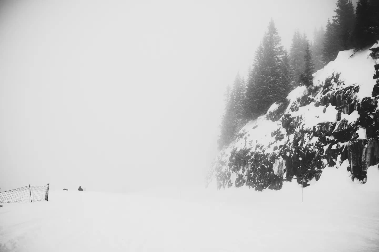 Frozen