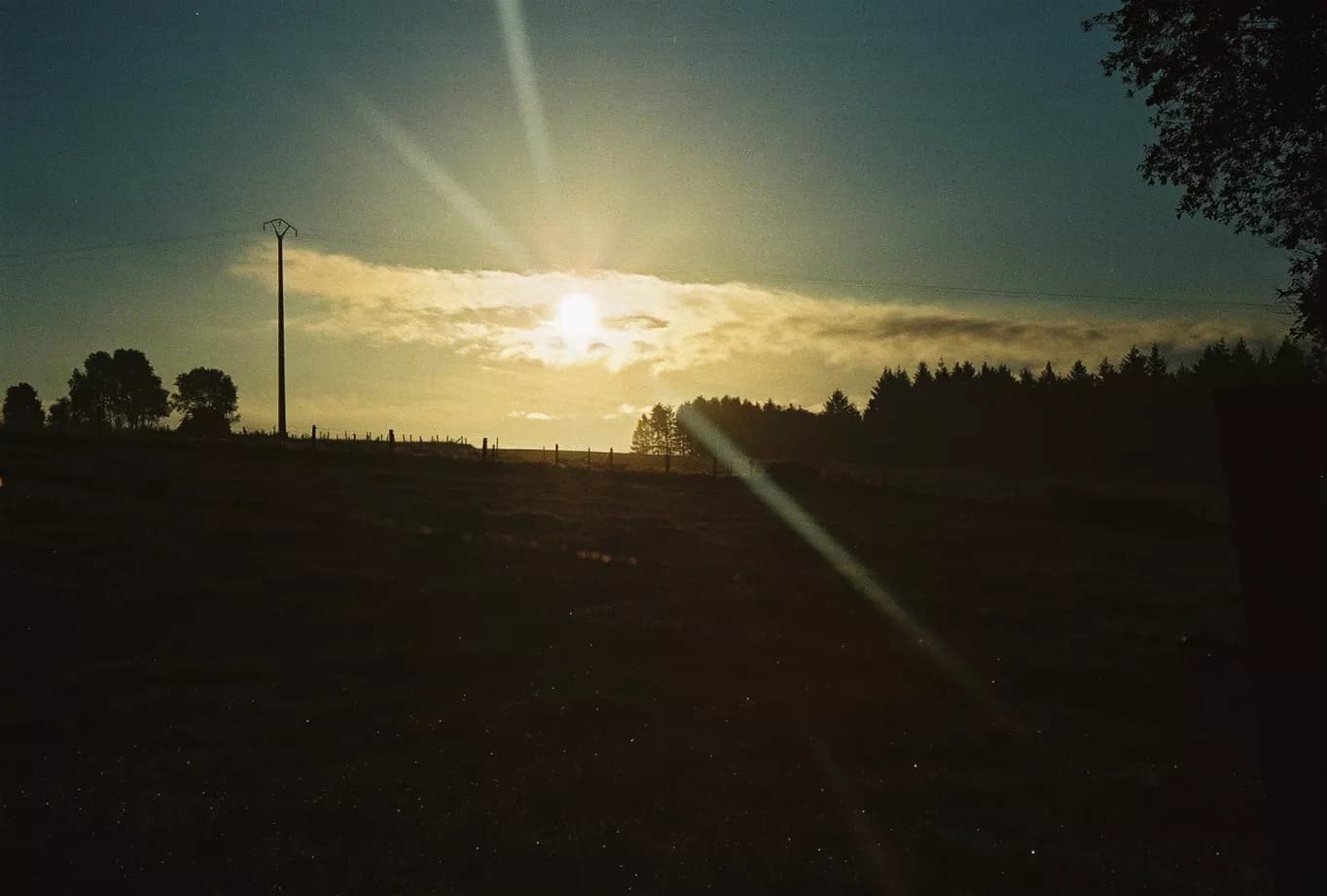 Dawn